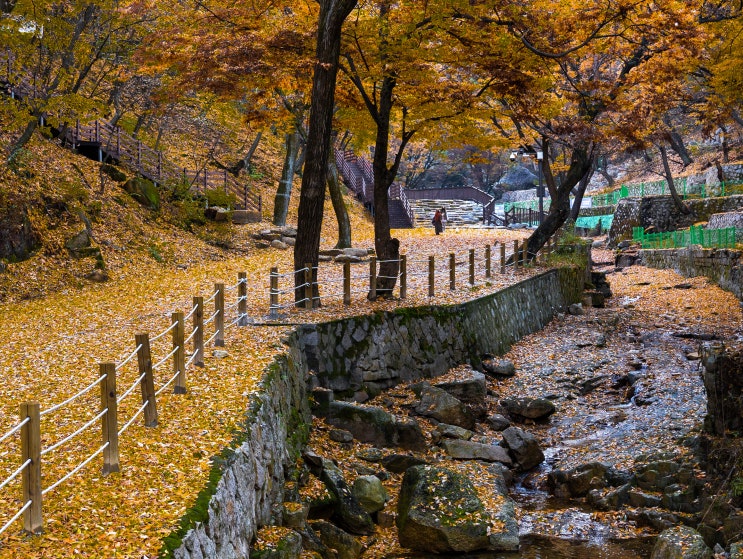  수락산 자락에 있는 청학 밸리 리조트의 가을 단풍