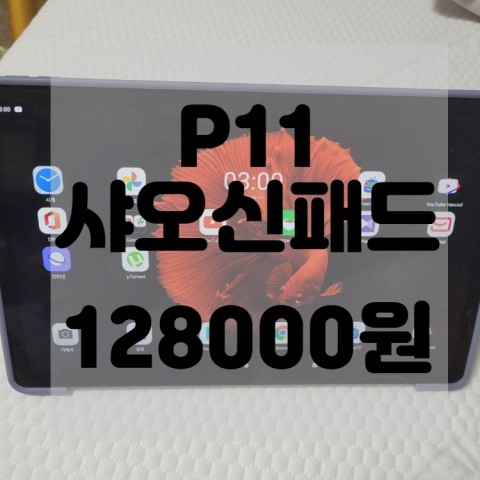  (내돈내산)(솔직리뷰)P11리뷰 추천및 비추천 장단점 