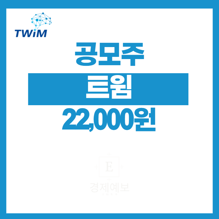  트윔 수요예측 " 준수한 결과와 부담적은 규모와 성장성"