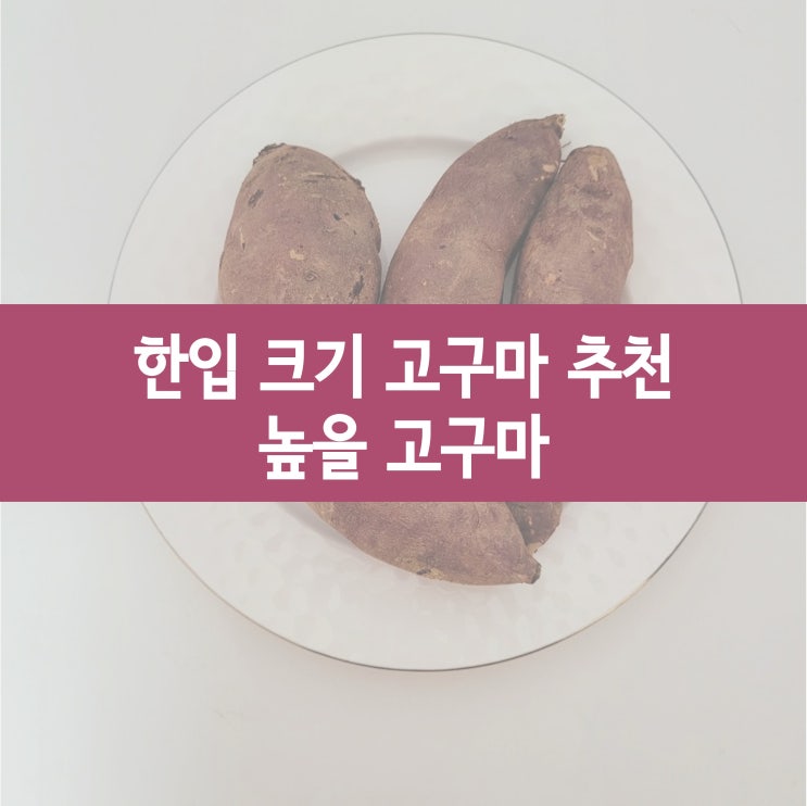 [내돈내산] 한입크기 고구마 추천 :: 높을고구마 후기