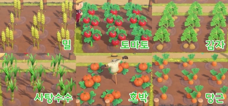 모여봐요 동물의 숲 모동숲 2.0 버전 3화 - 카페 오픈, 커피 마시기 / 농사 및 농작물 종류 공략 : 네이버 블로그 모여봐요 동물의 숲 모동숲 2.0 버전 3화 - 카페 오픈, 커피 마시기 / 농사 및 농작물 종류 공략 : 네이버 블로그