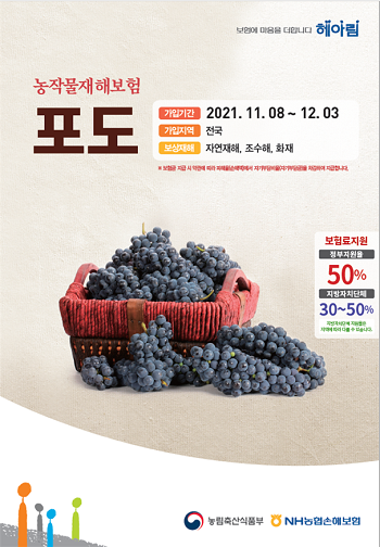 농업정책보험금융원, 농작물재해보험 포도 품목 신규 가입 과수원 보험료 할인제도 시범 도입 농업정책보험금융원, 농작물재해보험 포도 품목 신규 가입 과수원 보험료 할인제도 시범 도입