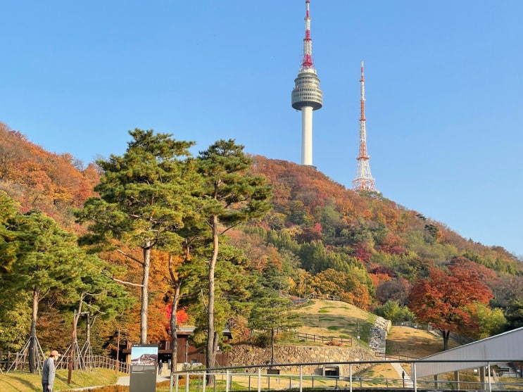 남산 둘레길 단풍 나들이