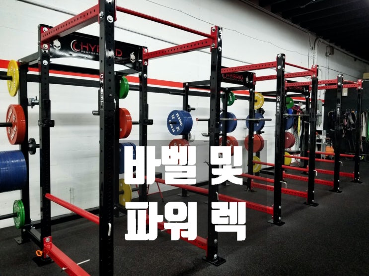  극강 다이어트 뱃살 파이터를 따라서 전신운동기구! 바벨 및 파워 렉 (스쿼트, 데드리프트, 벤치프레스)을 알아봐요~