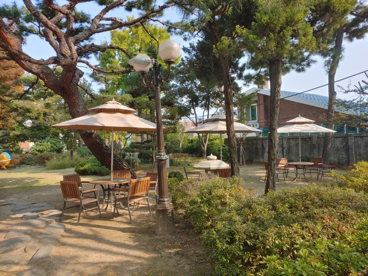 대전광역시 여행 (테미오래 : 시민들의 문화힐링공간으로 재탄생한 충남도지사공관과 관사촌) 대전광역시 여행 (테미오래 : 시민들의 문화힐링공간으로 재탄생한 충남도지사공관과 관사촌)