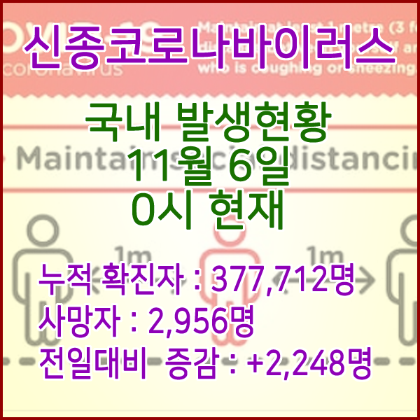  코로나19(코로나바이러스) 11월 6일 0시 신규확진자 2,248명 / 사망자 2,956명