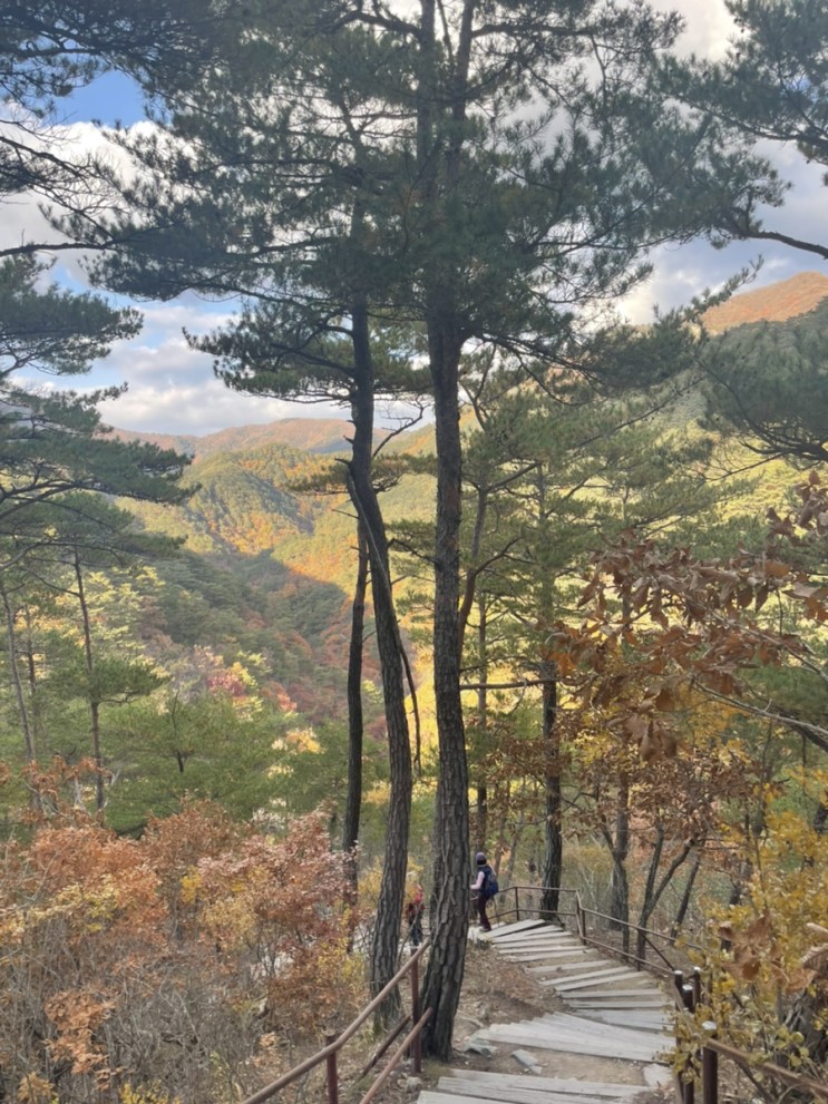 가을산행지 한국의 장가계 청송 주왕산 최단코스 주차팁