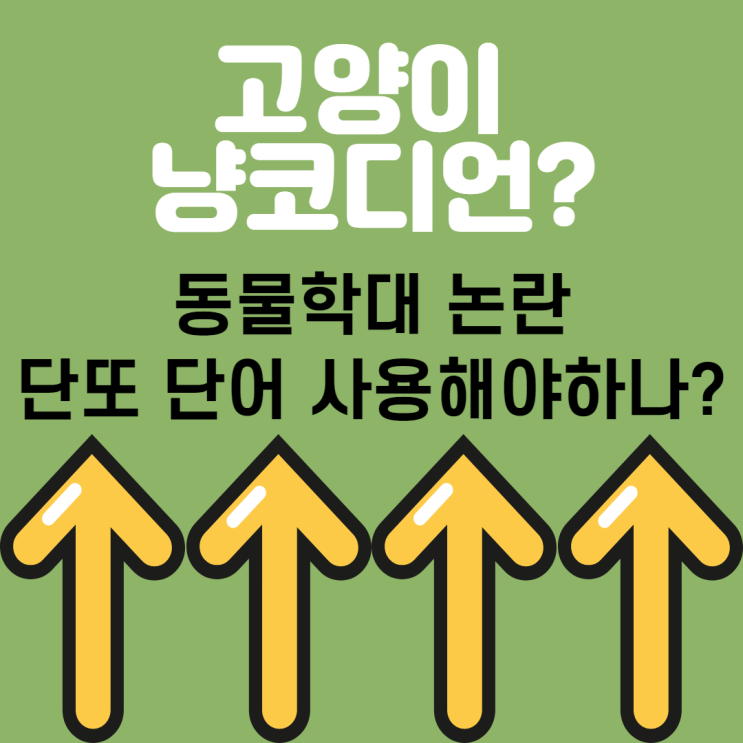  단또 무슨 뜻? 단또단또?