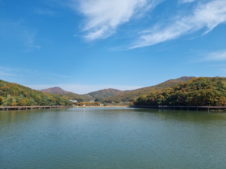 가을이 찾아온 한국, 첫 운전으로 백운호수, 하늘공원 방문 [10월 일상]