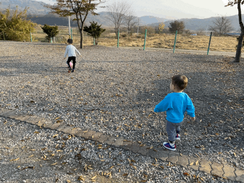  가을풍경 멋진 연천 DMZ마루캠핑장 2일차