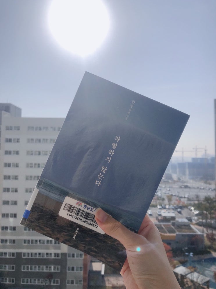  한강 작별하지 않는다 줄거리  및 서평