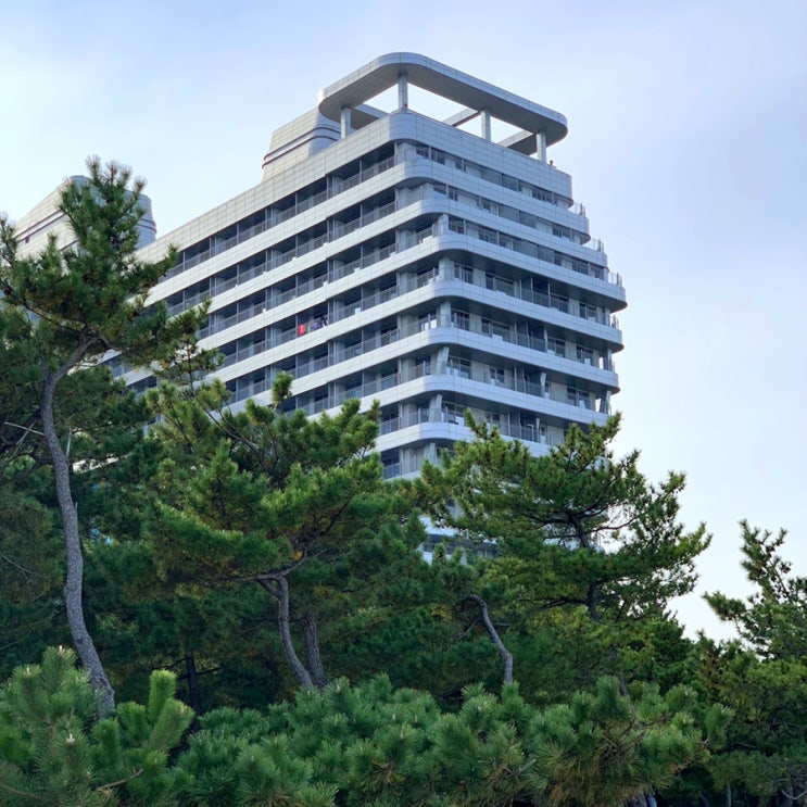  내돈내산 강릉 세인트존스호텔 솔직 1박 후기