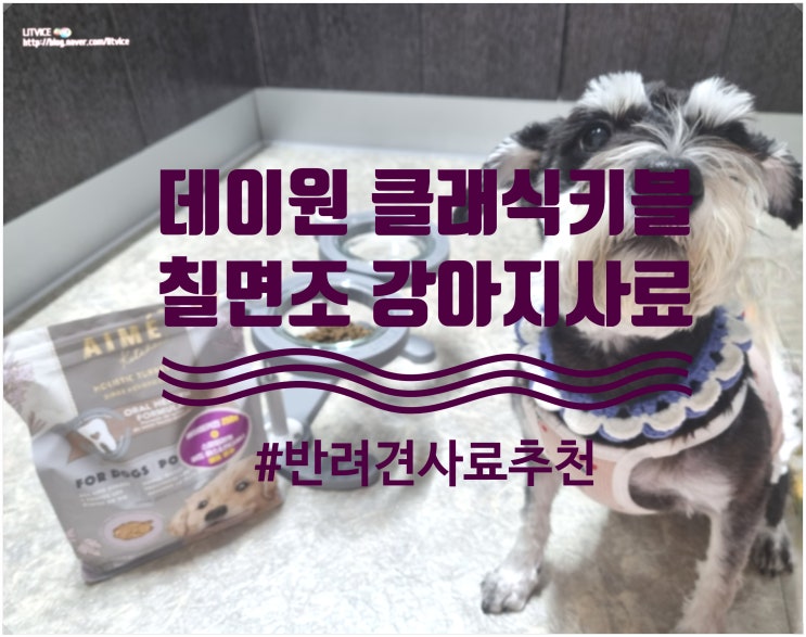  강아지사료추천 데이원 클래식키블 칠면조맛 강아지가 너무 잘 먹어요