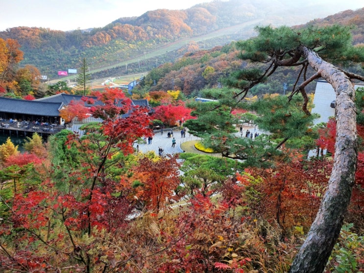 화담숲 : 서울근교 단풍 명소, 예약방법, 모노레일, 상세사진