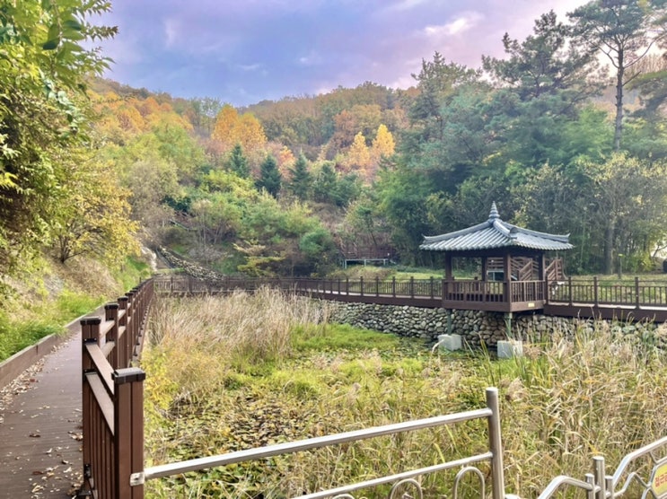  광명 도덕산 :: 가을 단풍길로 가득해요.