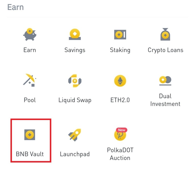 BNB Vault