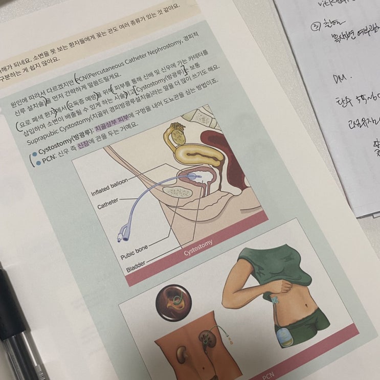  프셉마음_드림널스구독서비스 후기