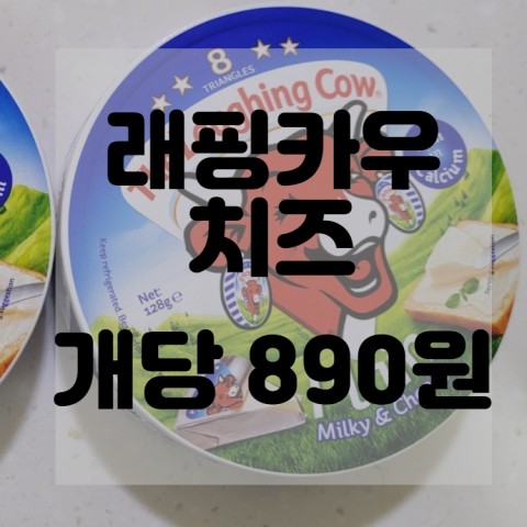  (내돈내산)(솔직리뷰)래핑카우 떠리몰 핫딜 개당 890원