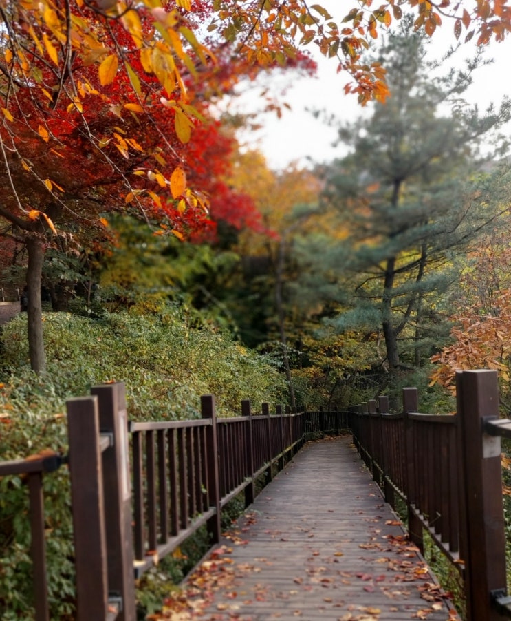 <찬송가> 주 예수 대문 밖에 찬송가535 O Jesus,Thou art standing <찬송가> 주 예수 대문 밖에 찬송가535 O Jesus,Thou art standing