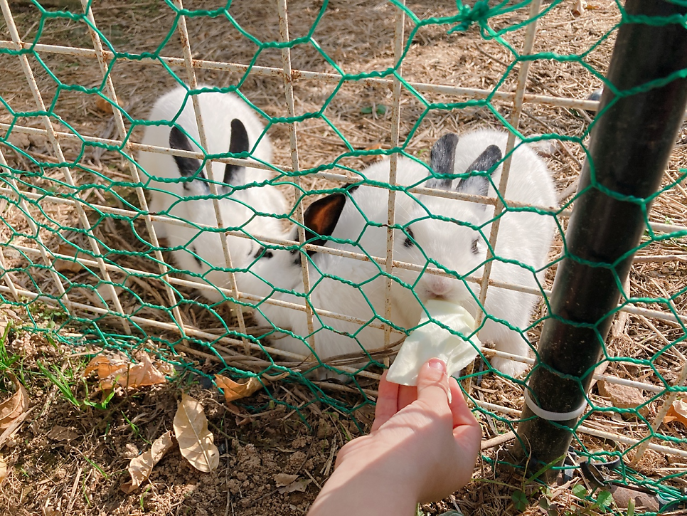 베지가든 남악점 사진