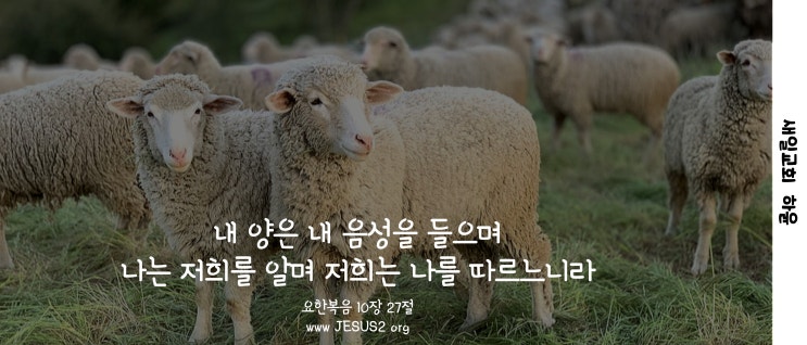 새일교회 난구절특강 | 34. 동무와 가까운 친구가 원수가 되는 일에 (시 55:11-16)