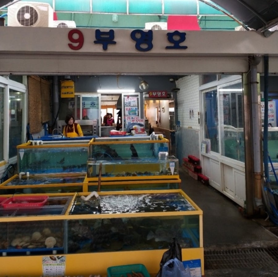 부영호 사진 4