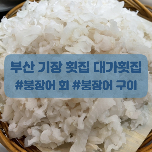  부산 기장 횟집 대가횟집에서 붕장어 회 먹고온 후기