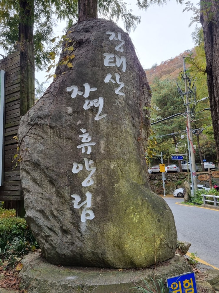 대전 장태산 자연휴양림 단풍구경 입장료 무료, 주차비무료