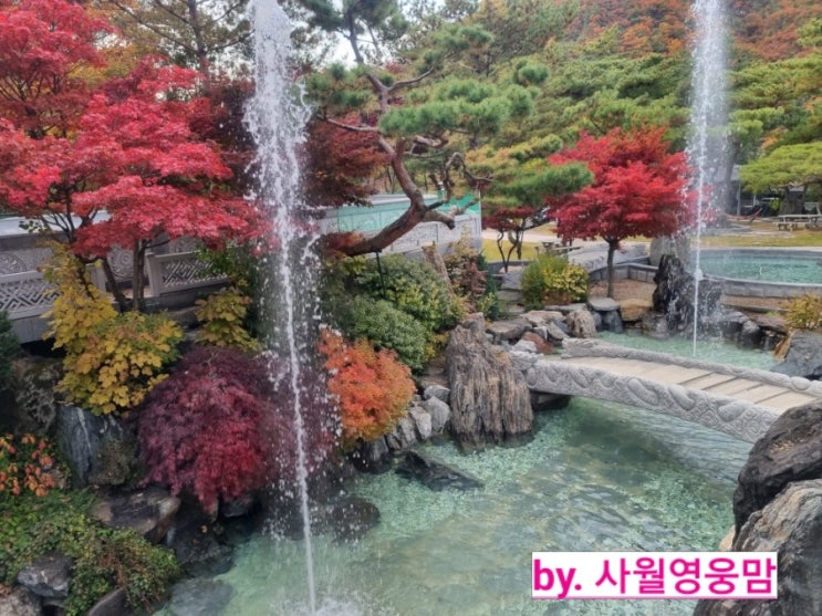 충주 가볼만한곳. 수안보 송림농원펜션에서 1박2일 촌캉스 충주 가볼만한곳. 수안보 송림농원펜션에서 1박2일 촌캉스