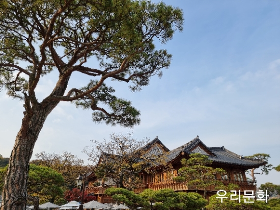 산책코스 까지 볼꺼리도 많은 넓은 한옥 카페.화성 혜경궁 베이커리에서 가을의 끝을 느껴보아요 산책코스 까지 볼꺼리도 많은 넓은 한옥 카페.화성 혜경궁 베이커리에서 가을의 끝을 느껴보아요