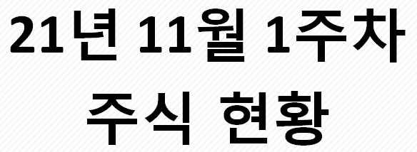  21년 11월1주차 주식 현황