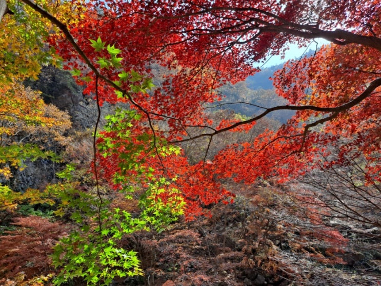  순창 강천산의 가을
