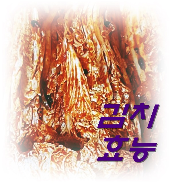  김치 효능 생각보다 더 다양해요