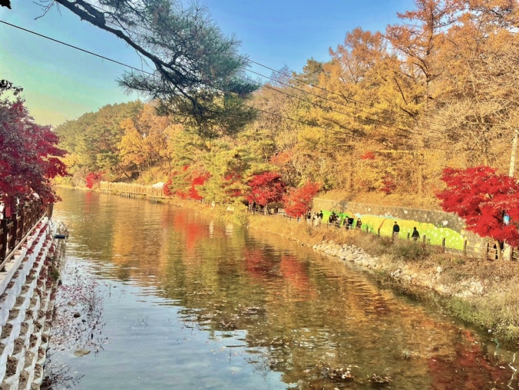  포천 산정호수 둘레길 :: 단풍 절정이에요.