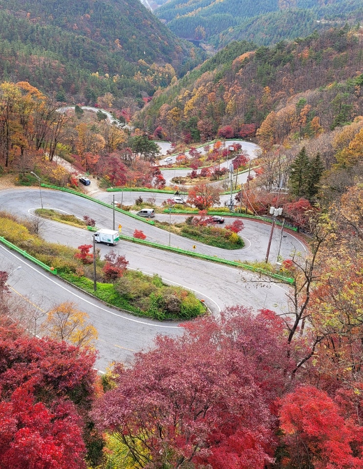 속리산단풍 보러 보은 가볼만한곳 말티재 전망대 다녀왔어요