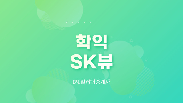  박수나온 학익 sk뷰(feat. 분양가)
