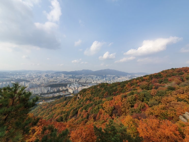  [산행] 안양/평촌을 한눈에 내려다보자, 모락산