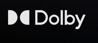  텔레비전(TV : television)에서 돌비(Dolby)와 DTS 코덱 지원의 의미