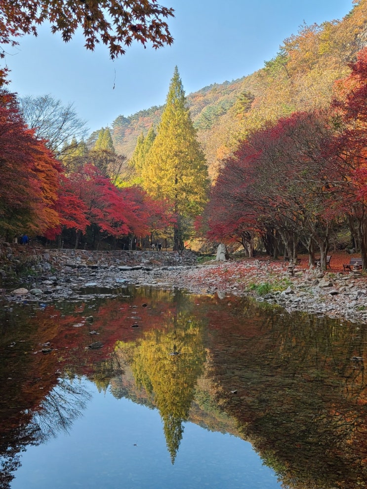  순창 강천산 단풍 여행(주차장~병풍폭포~삼인대~구장군 폭포~수좌굴~원점)