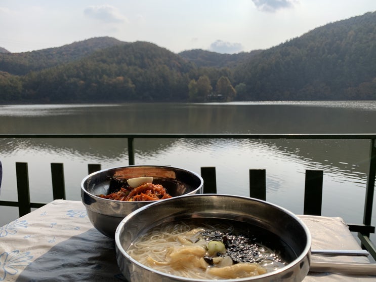  파주 애룡저수지 테라스커피 & 국수, 식물원 카페 앤드테라스 파주점