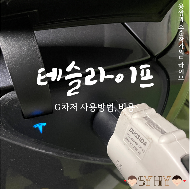 [테슬라이프]#4 Gcharger(G차저) 집밥 사용 후기 만땅으로 채우려면 비용은?