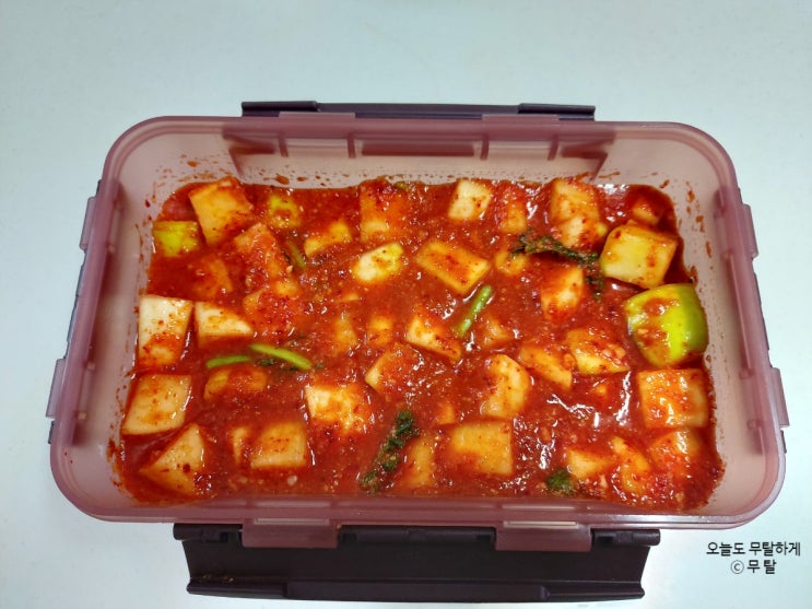  보약 가을무로 깍두기 담그기 아삭한 깍두기 만들기 자취 필수반찬 만능반찬 밥도둑 깍두기 레시피 팁 포함