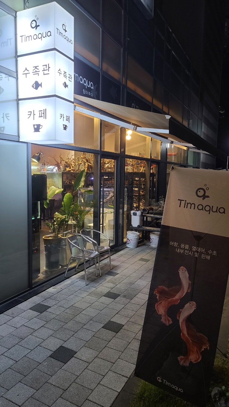 팀아쿠아 인천 수족관 카페 물멍때리기 좋은곳추천, 구월동 아시아드선수촌