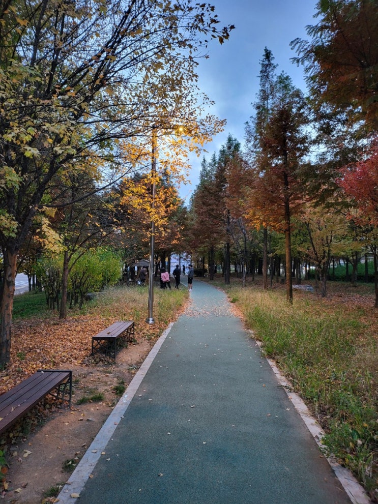  매일 한 줄 일기쓰기 - 11.07 (스타벅스 크리스마스 신메뉴, 가을 산책, 오늘의 필사)