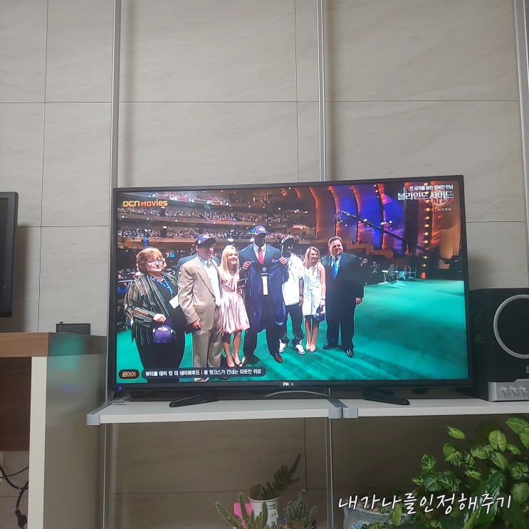  전 미국을 울린 행복한 실화 가족 영화, 블라인드 사이드 영화를 소개해요 