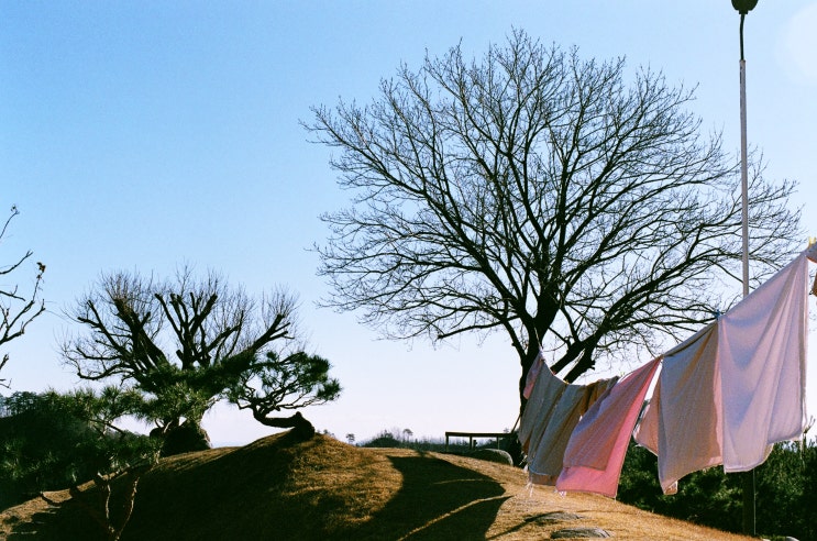  20. 마지막 세입자