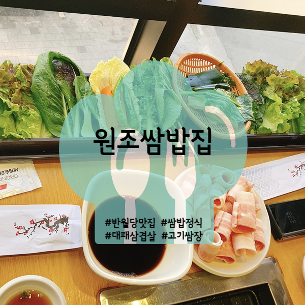  [대구/중구] 반월당 맛집 백종원의 원조 쌈밥집 (인생쌈밥집)