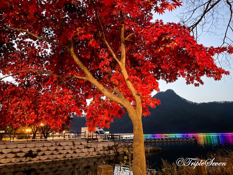  [후기] 포천 산정호수 단풍 둘레길! 단풍 여행 막차탔습니다!