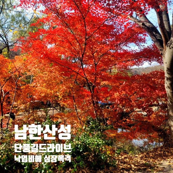 남한산성 낙엽비 늦가을 단풍길 드라이브에 심장폭격