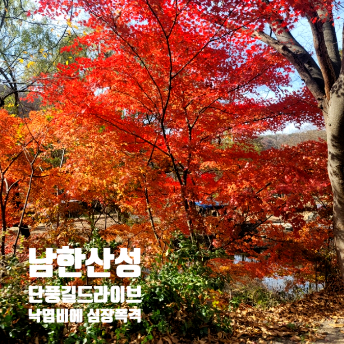남한산성 낙엽비 늦가을 단풍길 드라이브에 심장폭격 남한산성 낙엽비 늦가을 단풍길 드라이브에 심장폭격